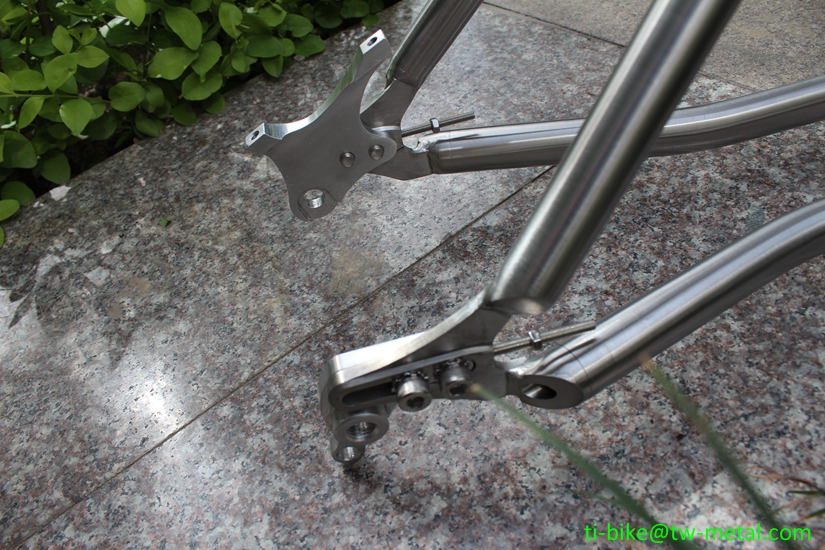 Custom titanium Pinion gear box MTB bike frame